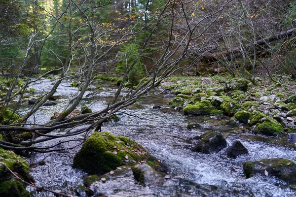 Rio Gerado Por Uma Nascente Carste Nas Montanhas Calcário — Fotografia de Stock