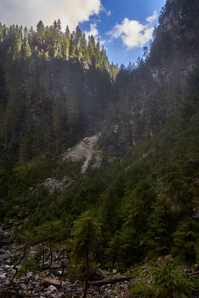 Krajobraz Lasami Sosnowymi Pokrywającymi Góry Wapienne — Zdjęcie stockowe