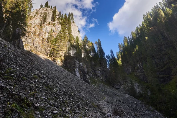 석회암 산맥을 소나무 숲으로 뒤덮인 — 스톡 사진