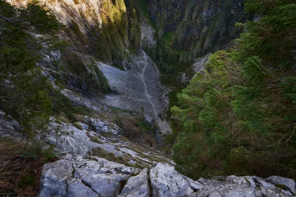 Kireçtaşı Dağlarını Kaplayan Çam Ormanlarıyla Kaplı Manzara — Stok fotoğraf