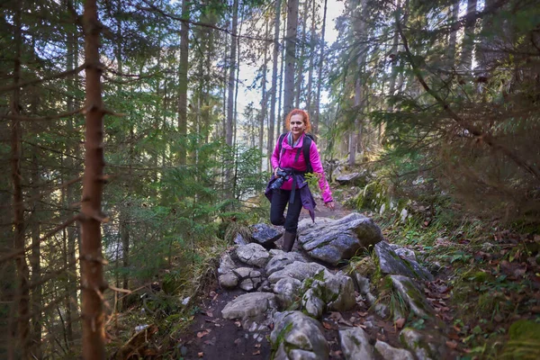 山の中で冒険のカメラを持つ女性ハイカー 松林を通って — ストック写真