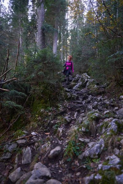 女徒步旅行者 带着相机在高山上 松树丛中探险 — 图库照片