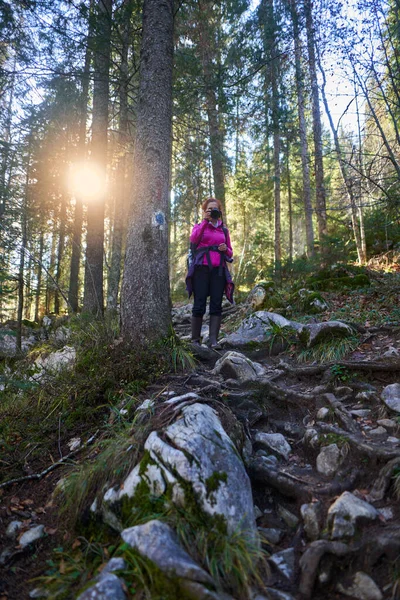 Kameralı Bir Kadın Dağlarda Çam Ormanlarında Maceraya Atıldı — Stok fotoğraf