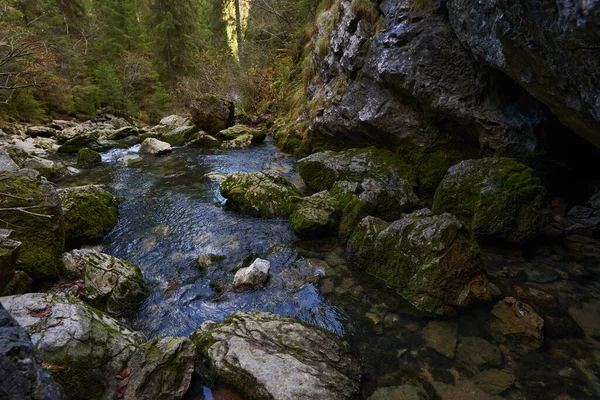 Река Порожденная Карстовым Источником Известняковых Горах — стоковое фото