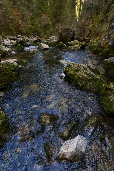 Řeka Vytvořená Krasovým Pramenem Vápencových Horách — Stock fotografie