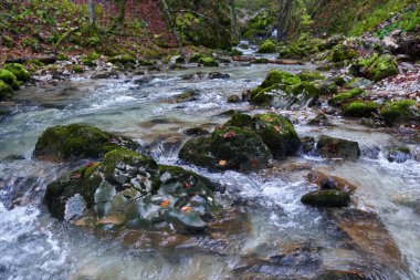 Nehir, yemyeşil bir bitki örtüsüyle dağdaki bir kanyondan hızla geçer.