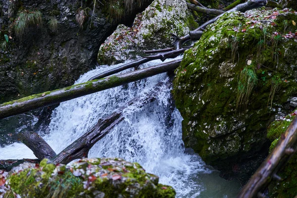 Landschaft Mit Wasserfall Den Üppigen Wäldern — Stockfoto