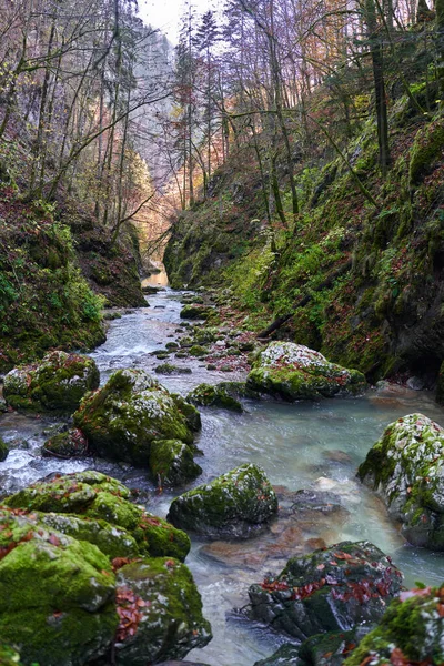 在植被茂密的高山上 河流急流穿过峡谷 — 图库照片