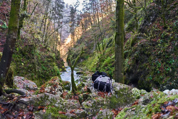 Stromschnellen Durch Eine Schlucht Einem Berg Mit Üppiger Vegetation — Stockfoto