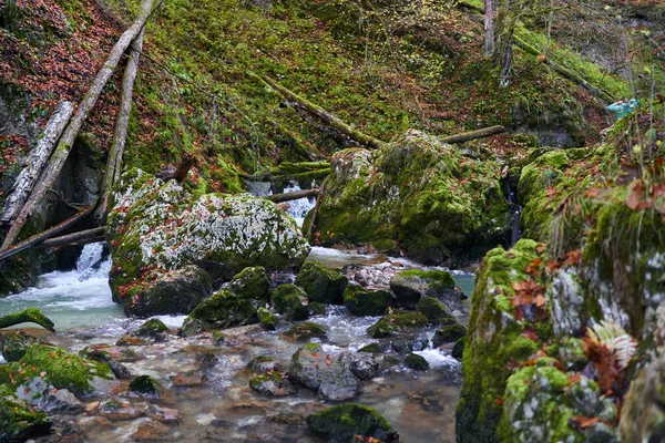 Rápidos Fluviales Través Cañón Una Montaña Con Exuberante Vegetación —  Fotos de Stock