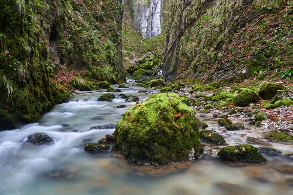 Řeka Peřeje Kaňonem Horách Bujnou Vegetací — Stock fotografie