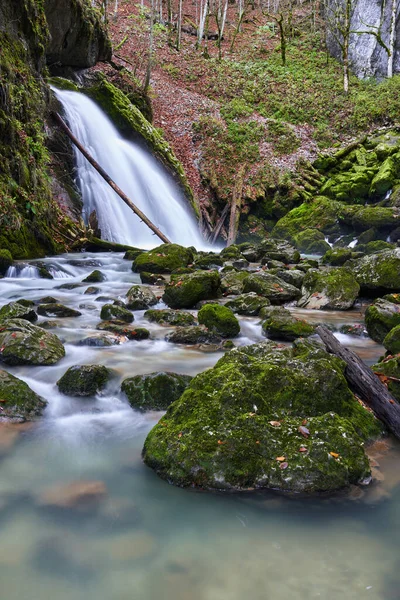 緑豊かな森の中の滝のある風景 — ストック写真