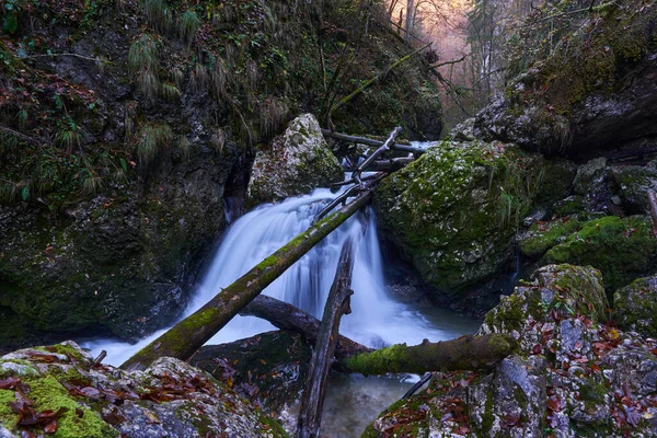 Paisaje Con Una Cascada Los Exuberantes Bosques — Foto de Stock