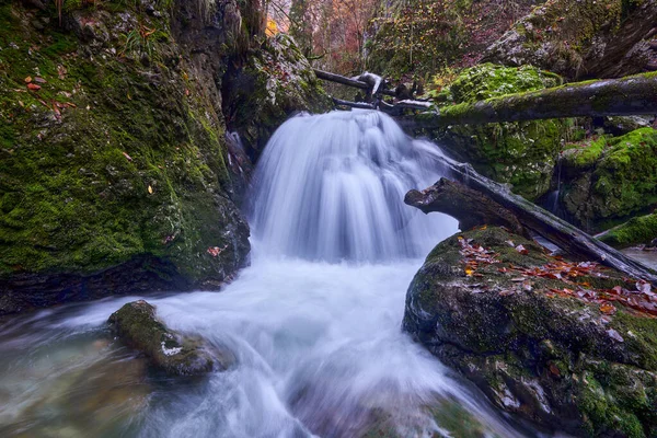 Paisagem Com Uma Cachoeira Nas Florestas Exuberantes — Fotografia de Stock