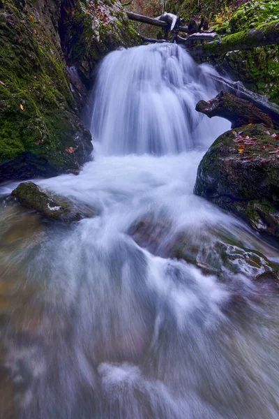 茂密的森林里有瀑布的风景 — 图库照片