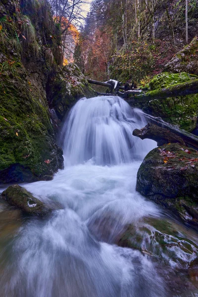 Paisagem Com Uma Cachoeira Nas Florestas Exuberantes — Fotografia de Stock