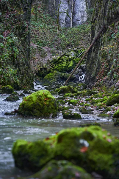 Rio Corre Através Cânion Uma Montanha Com Vegetação Exuberante — Fotografia de Stock