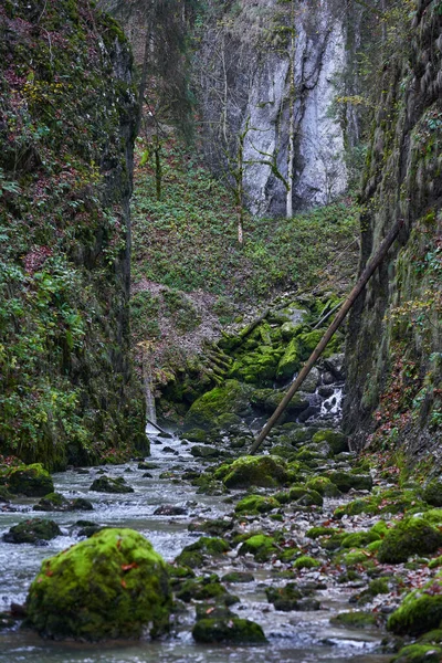 Rapides Fluviaux Travers Canyon Dans Une Montagne Végétation Luxuriante — Photo