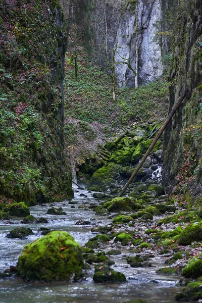 River Rapids Canyon Mountain Lush Vegetation — Stock Photo, Image