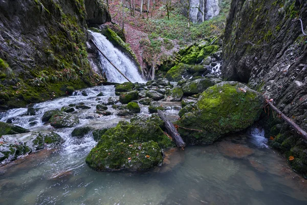 Krajina Vodopádem Bujných Lesích — Stock fotografie