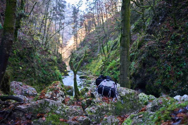 一位摄影师在峡谷中的一条河上背包 上面覆盖着苔藓和茂密的植被 — 图库照片