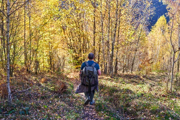 山の上のブナの森の歩道に重いバックパックハイキングと自然写真家 — ストック写真
