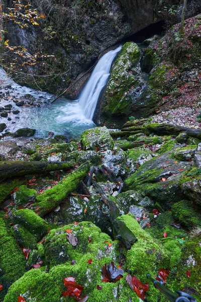 茂盛的峡谷中的瀑布 覆盖着苔藓和郁郁葱葱的植被 还有碧绿的海水 — 图库照片