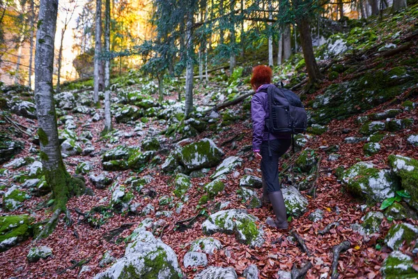Vrouwelijke Wandelaar Een Pad Bergen — Stockfoto