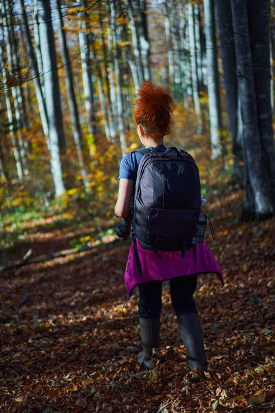 Naturfotografin Wandert Herbst Mit Rucksack Den Bergen Durch Buchen Und — Stockfoto