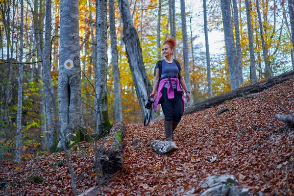 自然女摄影师背着背包在山里穿越山毛榉和桦树林远足 — 图库照片