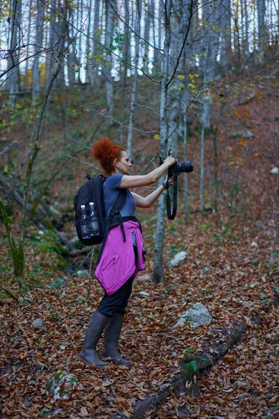女性の自然写真家は 秋の間にブナや白樺の森を通って山の中で彼女のバックパックでハイキング — ストック写真
