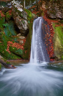 Sonbaharın sonlarında ormanlık dağlarda şelale.