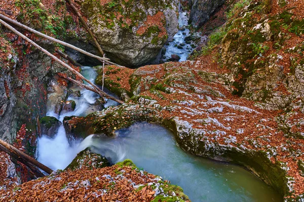 Rivier Stroomversnellingen Door Een Canyon Een Berg Met Weelderige Vegetatie — Stockfoto