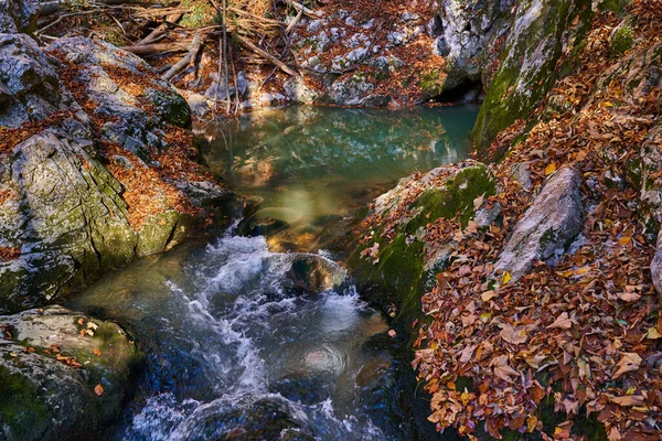 石灰岩の山のカルスト泉による川 — ストック写真