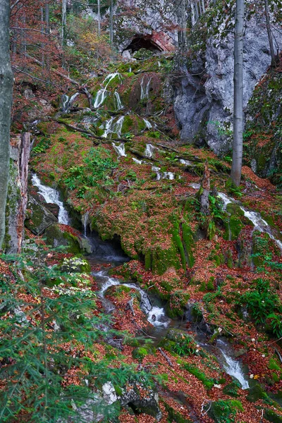 Водоспад Лісових Горах Пізньої Осені — стокове фото