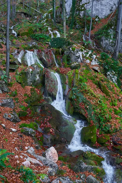 Cachoeira Nas Montanhas Florestadas Final Outono — Fotografia de Stock