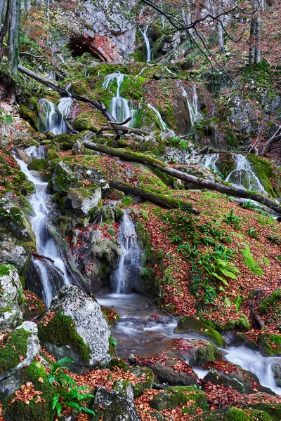 Cachoeira Nas Montanhas Florestadas Final Outono — Fotografia de Stock