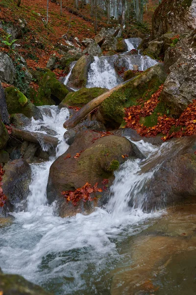 Река Пороги Через Каньон Горах Пышной Растительностью — стоковое фото