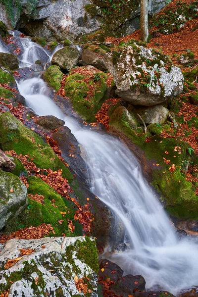 Sonbaharın Sonlarında Ormanlık Dağlarda Şelale — Stok fotoğraf