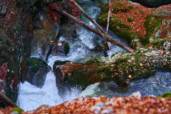 Река Пороги Через Каньон Горах Пышной Растительностью — стоковое фото