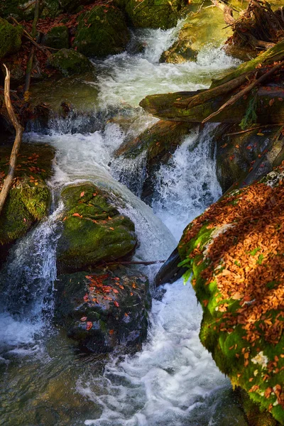 Ποταμός Διασχίζει Φαράγγι Βουνό Πλούσια Βλάστηση — Φωτογραφία Αρχείου