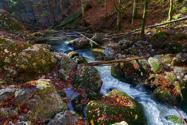 Rápidos Fluviales Través Cañón Una Montaña Con Exuberante Vegetación — Foto de Stock