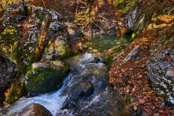 Rápidos Fluviales Través Cañón Una Montaña Con Exuberante Vegetación — Foto de Stock