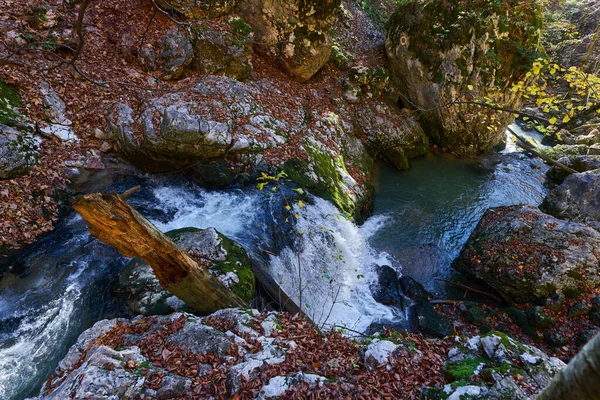 緑豊かな植生の山の中の峡谷を流れる川の急流 — ストック写真