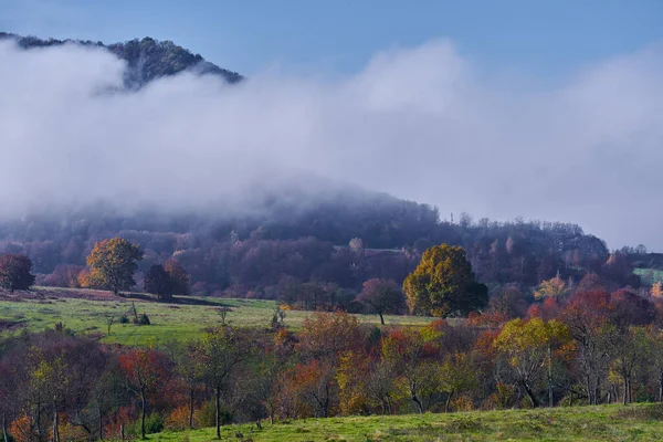 秋天的风景 树木和雾从山上降下来 — 图库照片