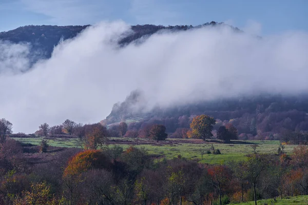 Φθινοπωρινό Τοπίο Δέντρα Και Ομίχλη Κατεβαίνει Από Βουνά — Φωτογραφία Αρχείου