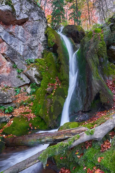 Waterval Beboste Bergen Late Herfst — Stockfoto