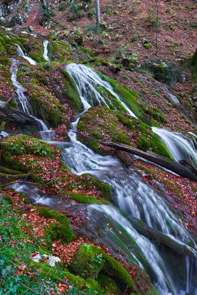 Водопад Лесистых Горах Поздней Осенью — стоковое фото