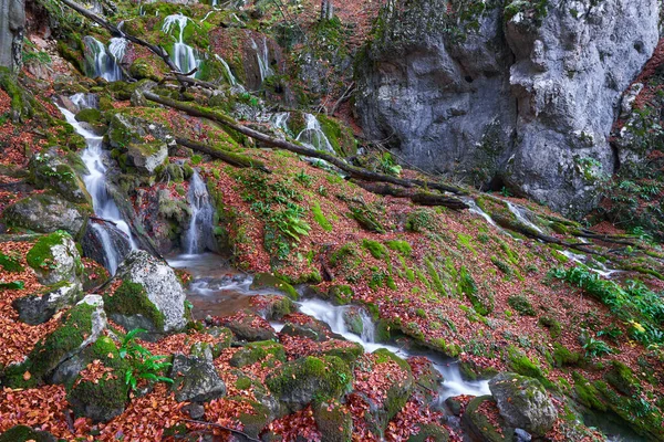 Водоспад Лісових Горах Пізньої Осені — стокове фото