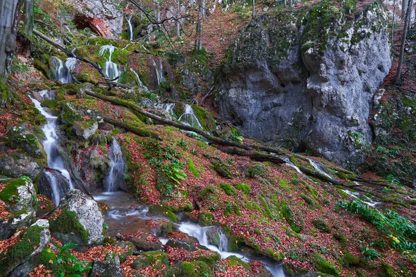 Wasserfall Den Bewaldeten Bergen Spätherbst lizenzfreie Stockfotos